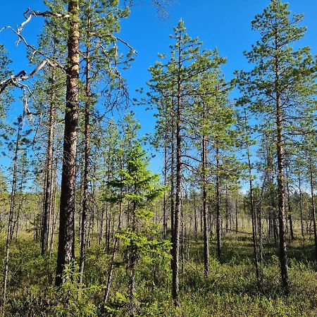 Raate Guest House Suomussalmi Eksteriør bilde