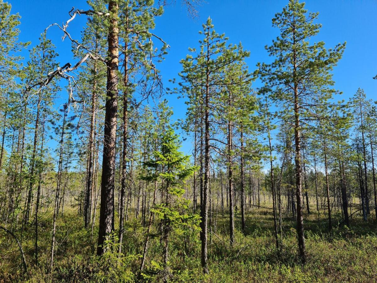 Raate Guest House Suomussalmi Eksteriør bilde