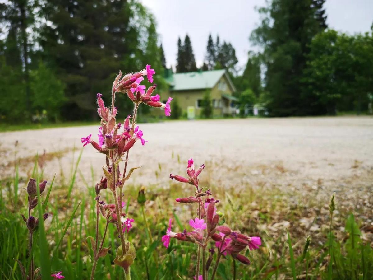 Raate Guest House Suomussalmi Eksteriør bilde
