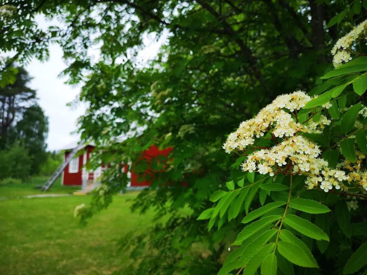 Raate Guest House Suomussalmi Eksteriør bilde